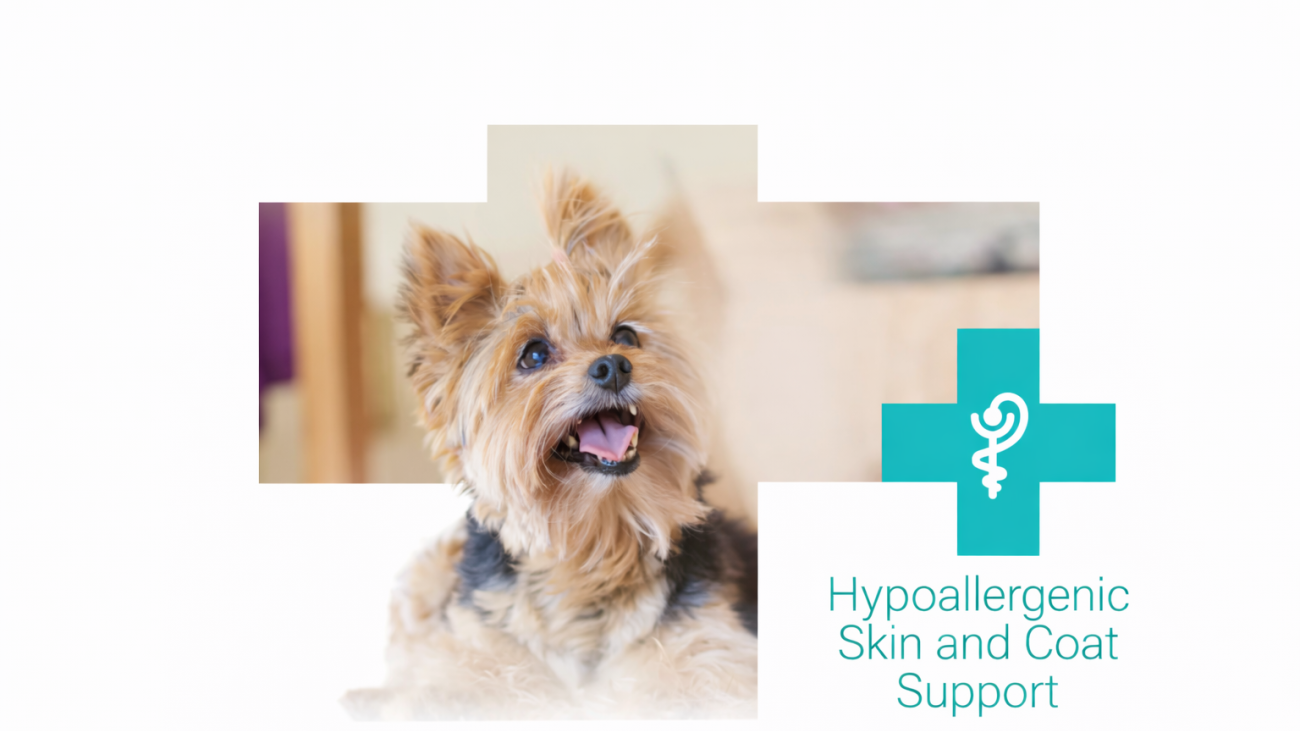 Hypo_article_rámeček